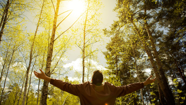 Pulmoner Rehabilitasyon